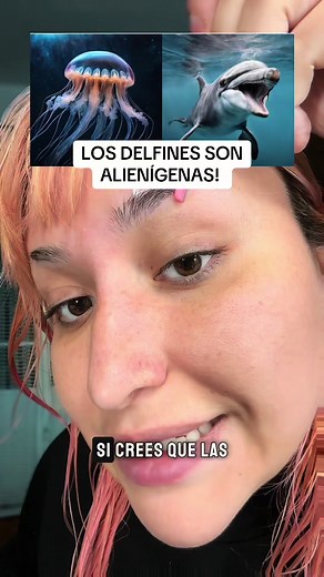 Delfines: ¿Son realmente alienígenas?