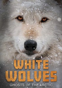 White Wolves: Ghosts of the Arctic streaming
