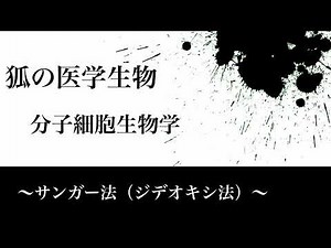 分子細胞生物学82 ＋α ～サンガー法（ジデオキシ法）～