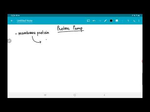 Proton pump Diffusion of H+ Sucrose-H+ cotransporter Sucrose