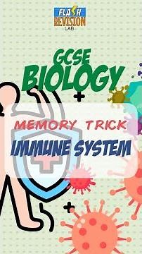 GCSE Biology : Memory Trick | Immune System