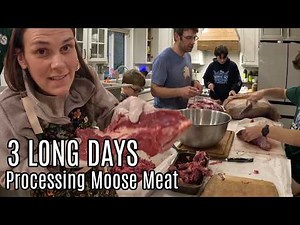 FREEZERS are FULL!! Moose Meat Processing w/ the Family
