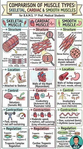 Comparison of Physiology of Skeletal Muscles, Cardiac Muscles and Smooth Muscles #shortsfeed #bams