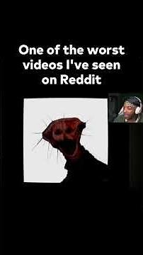 The one video that reddit users WARNED NOT to watch.