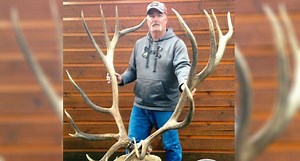 This Monster Montana Elk is the New World Record with a Bow