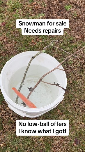 Snowman for Sale: A Unique Winter Decoration