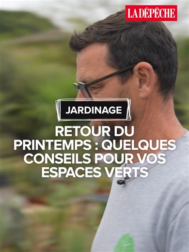 Conseils jardinage après l'hiver : préparer vos plantes au printemps