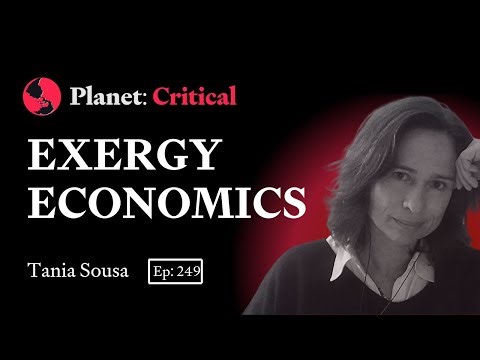 Exergy Economics | Tânia Sousa