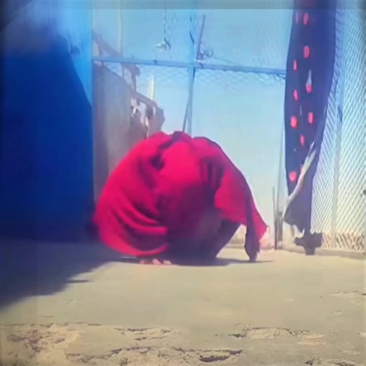 Hilarious Push-Up Fails and Funny Moments