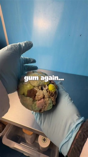 This is disgusting but we made progress 💪 Do you like the shell on chewing gum?