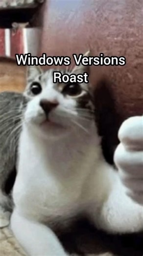 Nah Windows 7 was peak tbh 🗣🔥🔥