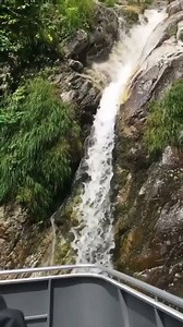 Day 3 of the Alaskan cruise! | K Werner Design