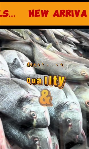 Check out our NEW ARRIVALS… Freshness, quality & Unbeatable Price!… ONLY at ADITI Supermarket! Visit Us ONE & ONLY Location in Brampton!! #aditisupermarket #fresh #seafood #newarrivals #visitas