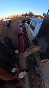 902K views · 3.8K reactions | Automated Feeding System  #machine #machinery #farming | Supercar Blondie | Facebook