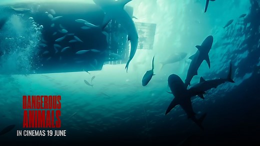 775K views · 9.9K reactions | A shark’s out there. 麗 But the real killer might be sitting next to you... 喝 Dangerous Animals hits cinemas this June 19. #DangerousAnimals #JaiCourtney #HassieHarrison #JoshHeuston #GSCMovies | GSCMOVIES | Facebook