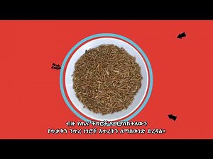 What is Food Fortification (Amharic Audio and Subs)