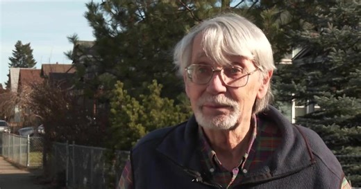 Pine bark beetle outbreak leads to loss of trees in Spokane