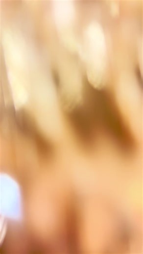 Elegant Weeding Dresses for Your Special Day