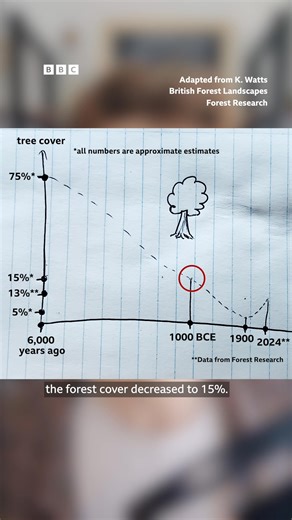 The UK is surprisingly deforested and among the least wooded countries in Europe. How did it get this way - and are recent rewilding projects helping? 🌳 🎧 Can planting trees solve the climate crisis? https://bbc.in/3Asyp5Y | BBC World Service