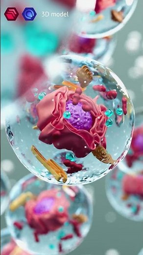 What's inside a cell? 3D animation in Cinema 4D #shorts