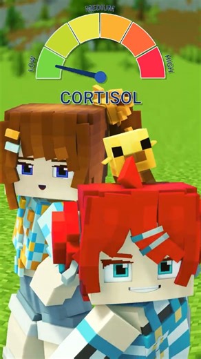 Low Cortisol VS High Cortisol | MINECRAFT ANIMATION