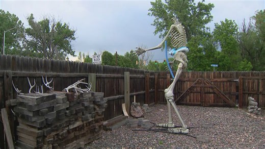 Arvada homeowners want to know who decapitated their 12-foot-tall skeleton