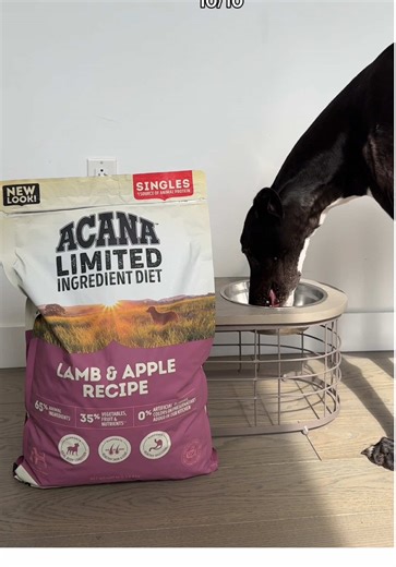 Why ACANA™ Pet Food is a Smart Choice for Your Dog