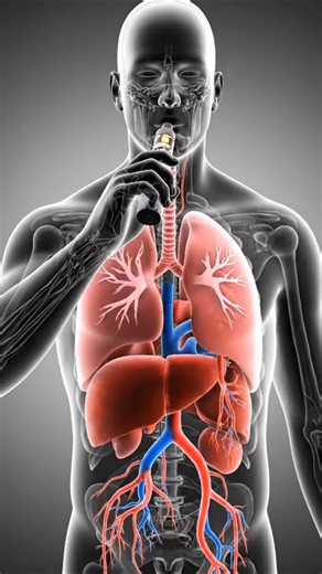 Vaping vs Your Lungs — Internal Reality 😱 #shorts #health