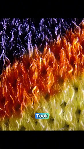 MicroCam X1 — a pocket-sized 4K microscope that shows you a world you’ve never seen.