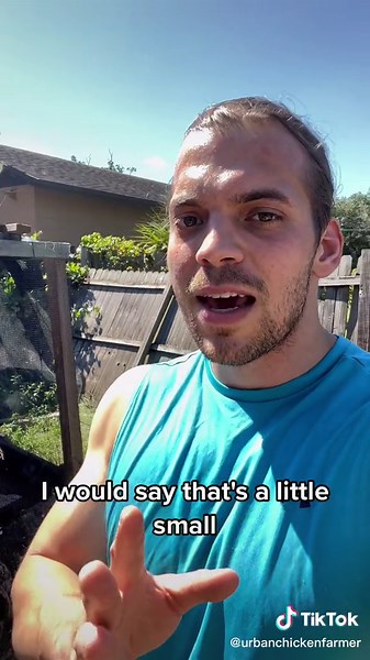 Small Backyard Chickens: Tips and Ideas for Urban Chicken Farming