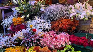 Pov : Obsessed With flowers ✨💐 #vancouver | Sakin