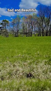 1968 Bobby Goldsboro #kyproud #love #genx #blessed #support #joyriding #countrymusic | Patty Hudson