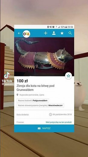 Najdziwniejsze ogłoszenia na OLX