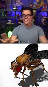 They put a fly in the Matrix.
