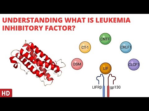 Leukemia Inhibitory Factor Demystified: Exploring its Significance in Health and Disease