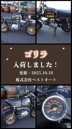 ベストオート on Instagram: "🏍️ 💥入荷情報💥 HONDA GORILLA 入りました〜！🐒✨ エンジンはボアアップ済み🔥 それ以外はほぼオリジナルの状態です！ この味のあるスタイル…たまりません😎 気になる方はぜひお問い合わせください！ #ベストオート #HONDA #ゴリラ #GORILLA #旧車 #ミニバイク #ボアアップ #原付 #出雲バイク #バイク好きと繋がりたい #島根バイク"