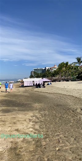 Kay-l Torres (@kay_l.next)’s videos with original sound - Kay-l Torres