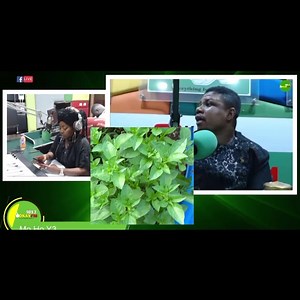 Health Benefits of Ocimum Basilicum: Basil (Akoko Mesa) — Dr. Wiafe Akenteng #mohoy3 #okayfm @abigailashley7 | Okay 101.7 FM