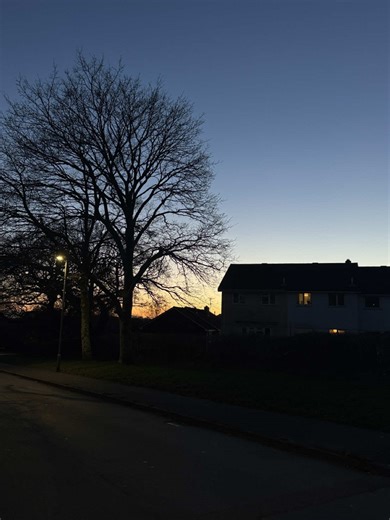 Cocker Spaniel Puppy Jump Scare Moment