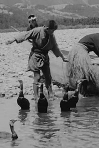 Fishing with Cormorants. Isle of Yeso, Japan (1911) - Movie