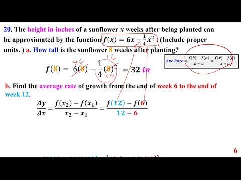 2026 Math 45 Module 2 Practice Test Ch 4 Linear Functions