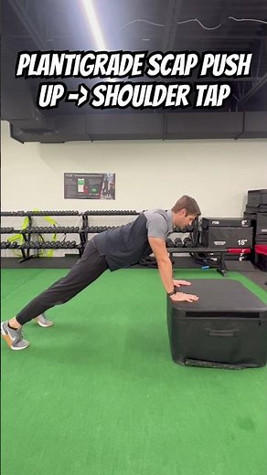 Plantigrade Scap Push Up to Shoulder Tap