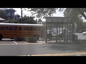 2001 AmTran RE