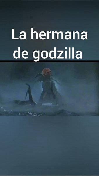 Cuentas recomendadas