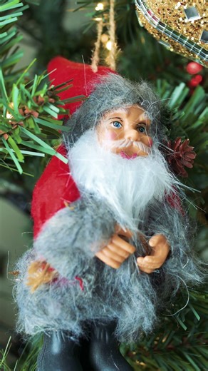 Macro Lens Adapter for Nikon ZR #photography #macrophotography