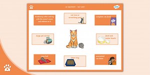 Cat Equipment - Fact Sheet