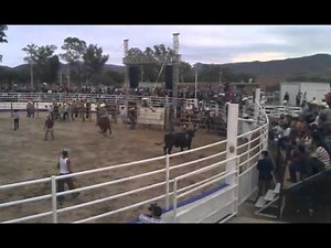 Bull riding in Jalisco ,Mexico gone bad