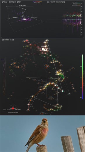 5.9M views · 12K reactions | Visual analysis of an amazing linnet (Linaria cannabina) provided by the talented Thibault Noirot @lasciencemusicale - Follow him for more amazing birds and nature footage! This specific model distribute data in 3d space following acoustic proximity, creating islands of points representing the syllabic textures and motifs of the linnet's song. #linnet #bird #birdsong #datavisualization #realtime #touchdesigner | Lucio Arese | Facebook