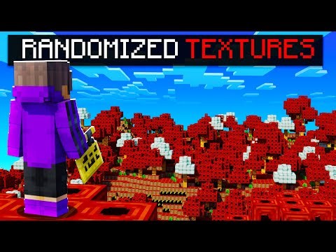 I Tried Playing Minecraft With RANDOMIZED TEXTURES!
