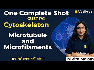 Cytoskeleton | Microtubules and Microfilaments | Complete Biology One Shot | CUET PG | VedPrep